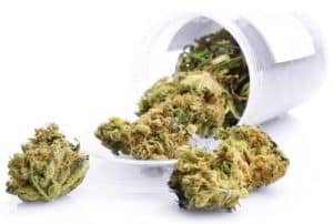 virginia cannabis application process