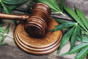 Virginia cannabis law firm