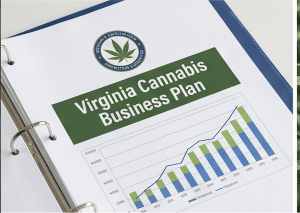 virginia cannabis business plan for impact license applicants